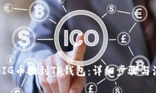 如何将BIG币提到TP钱包：详细步骤与注意事项