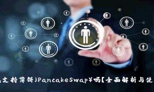 TP钱包支持薄饼（PancakeSwap）吗？全面解析与使用指南