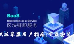 TP钱包测试版苹果用户指南