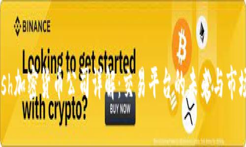 Bullish加密货币公司详解：交易平台的未来与市场潜力