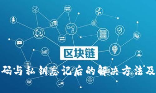 tp钱包密码与私钥忘记后的解决方法及注意事项