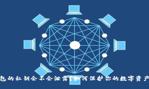 TP钱包的私钥会不会泄露？如何保护你的数字资产安全