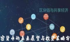 加密货币的未来展望与投