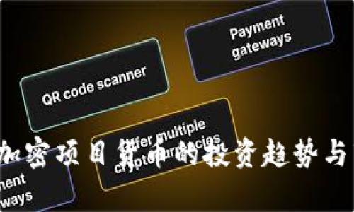 2023年加密项目货币的投资趋势与市场分析