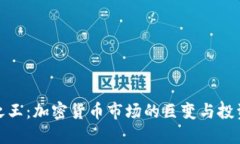 杠杆之王：加密货币市场