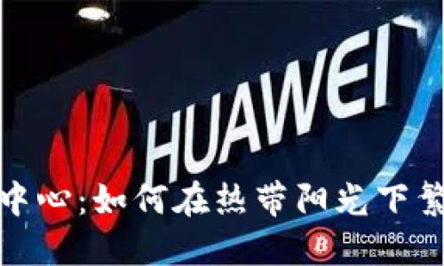 迈阿密加密货币中心：如何在热带阳光下繁荣发展数字经济