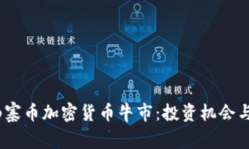 2023年山寨币加密货币牛市：投资机会与风险共存