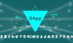 TP钱包苹果手机能下载吗？