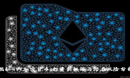 揭秘GYY加密货币：投资新机遇与潜在风险分析