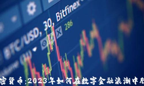 
乐天加密货币：2023年如何在数字金融浪潮中脱颖而出