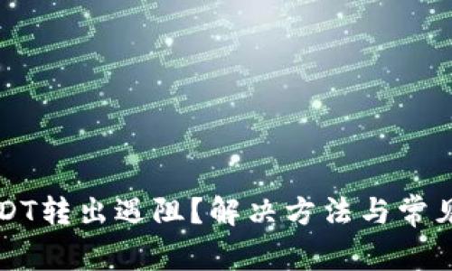 TP钱包USDT转出遇阻？解决方法与常见问题解析