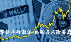 揭开加密数字货币的泡沫