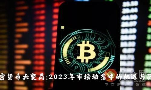 加密货币大变局：2023年市场动荡中的机遇与陷阱
