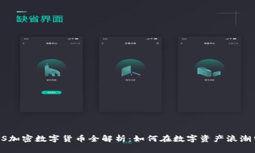 2023年CNS加密数字货币全解析：如何在数字资产浪潮中获取成功