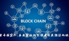 加密货币国家队：未来金