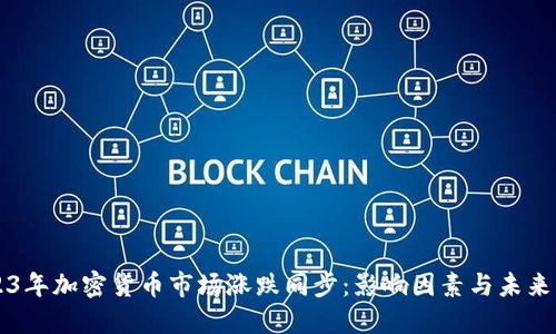 2023年加密货币市场涨跌同步：影响因素与未来展望