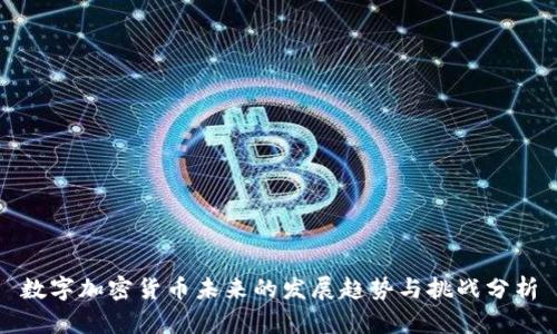 数字加密货币未来的发展趋势与挑战分析