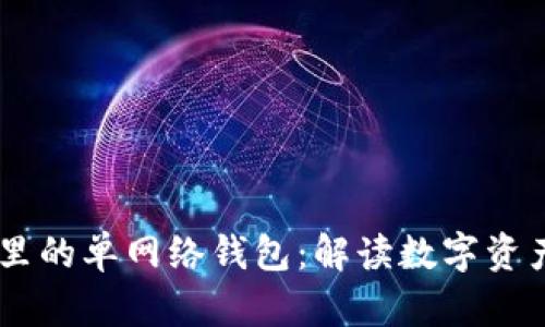 了解TP钱包里的单网络钱包：解读数字资产管理新方式