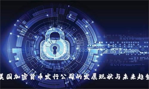 美国加密货币发行公司的发展现状与未来趋势
