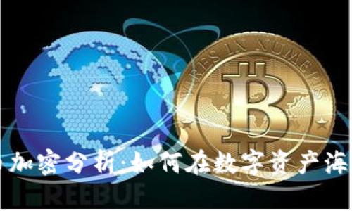 每日货币加密分析：如何在数字资产海洋中航行