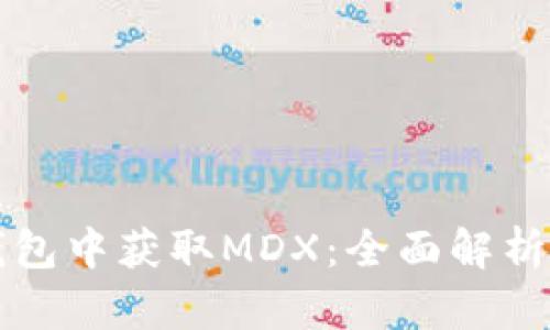 如何在TP钱包中获取MDX：全面解析与实用指南