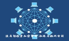 淡马锡投资加密货币：机