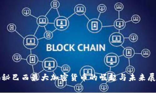 揭秘巴西最大加密货币的崛起与未来展望