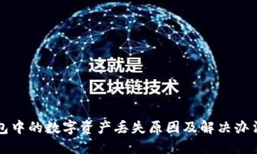 TP钱包中的数字资产丢失原因及解决办法指南