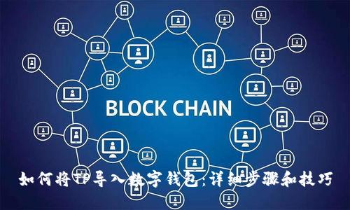 如何将TP导入数字钱包：详细步骤和技巧