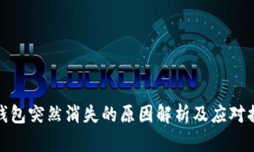TP钱包突然消失的原因解析及应对措施