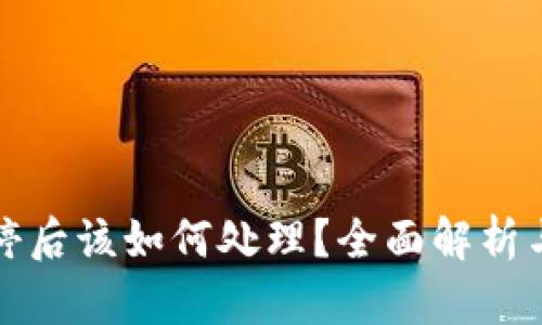 TP钱包关停后该如何处理？全面解析与解决方案