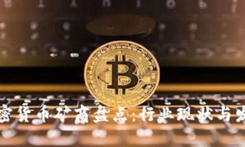 国内加密货币矿商盘点:行业现状与发展趋势