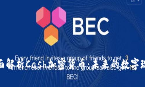 全面解析Cash加密货币：未来的数字现金