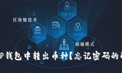 如何从TP钱包中转出币种？忘记密码的解决方案