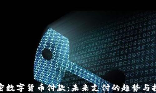 
加密数字货币付款：未来支付的趋势与挑战