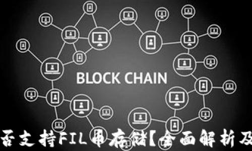 TP钱包是否支持FIL币存储?全面解析及使用指南