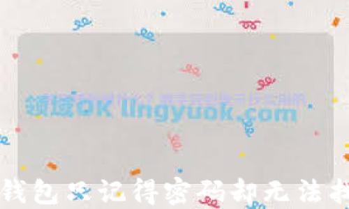 
如何解决TP钱包只记得密码却无法找回币的问题