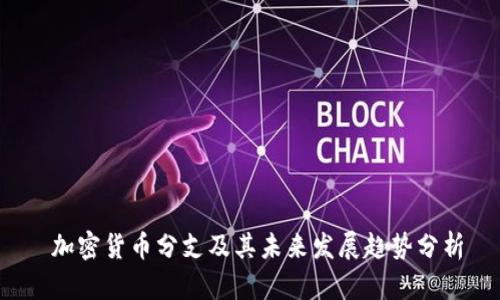  加密货币分支及其未来发展趋势分析