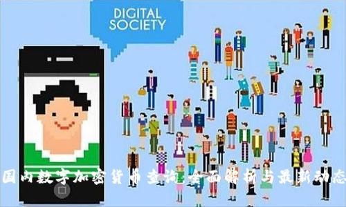 国内数字加密货币查询:全面解析与最新动态