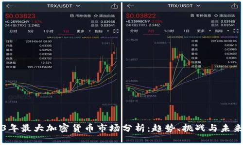 2023年最大加密货币市场分析：趋势、挑战与未来展望