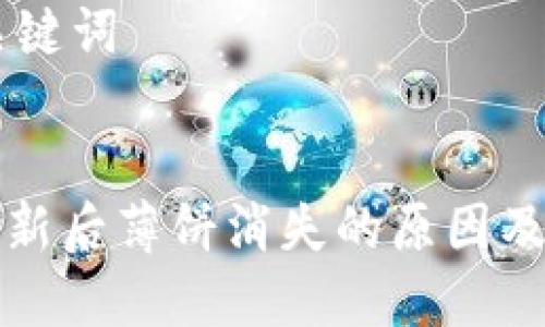 ## 和关键词


TP钱包更新后薄饼消失的原因及解决方案