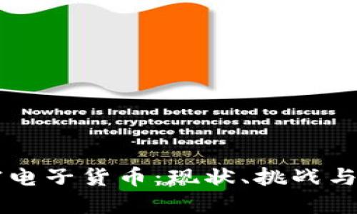 中国加密电子货币：现状、挑战与未来展望