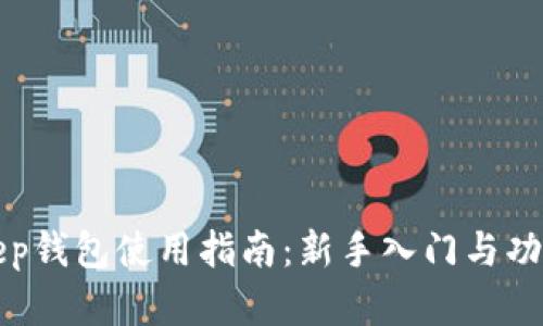 Bitkeep钱包使用指南：新手入门与功能详解