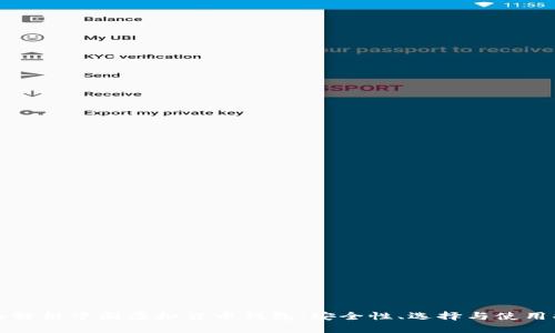 全面解析中国虚拟货币钱包：安全性、选择与使用指南