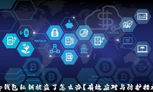 
tp钱包私钥被盗了怎么办？有效应对与防护措施