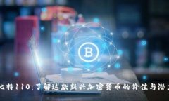 比特110：了解这款新兴加