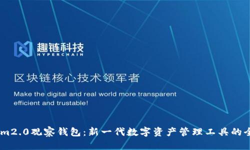 Token.im2.0观察钱包：新一代数字资产管理工具的全景解析