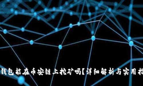 TP钱包能在币安链上挖矿吗？详细解析与实用指南
