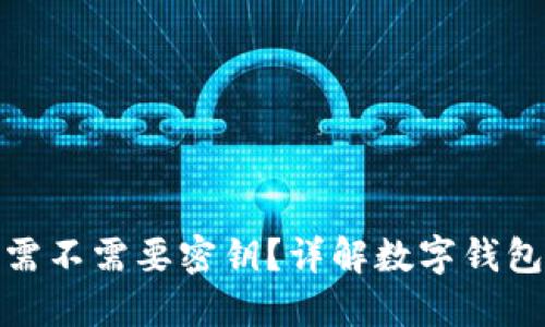 TP钱包转账需不需要密钥？详解数字钱包的安全机制