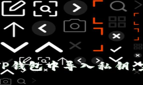 如何在TP钱包中导入私钥：完整指南